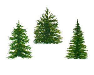 Set Isolated watercolor green fir Christmas trees hand drawn illustration on white background