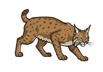 Fototapeta premium Bobcat in a Hunting Stance on transparent background