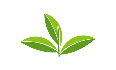 tea leaf.eps