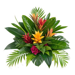 Obraz premium Tropical floral arrangement isolated on transparent background