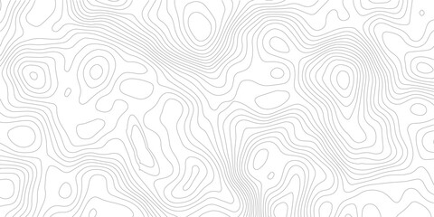White wave paper curved reliefs abstract background, Abstract topographic contours map background, Topography map background. Vector geographic contour map. 