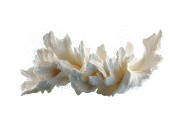 Abstract Composition of Whipped Cream with Powder Against transparent backdrop