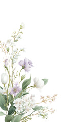 Obraz premium Delicate and Elegant Watercolor Illustration of a Soft Flowe