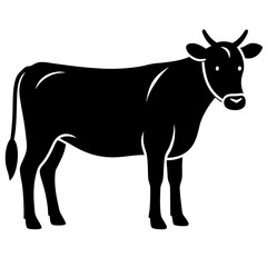 Fototapeta premium black and white cow