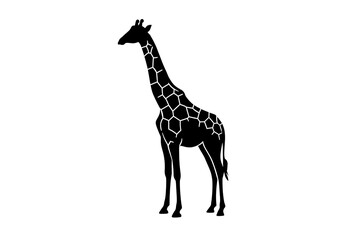 Naklejka premium Abstract Silhouette of a Giraffe on transparent background