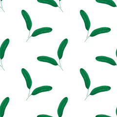 Hand drawn watercolor green leaves seamless pattern. Greenery illustration isolated on white background. Can be used for textile fabric and other printed products.