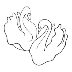 Elegant hand drawn vector line art of a swan in minimal style. Graceful bird illustration perfect for posters, prints, tattoos, logos, fashion designs, stickers, and creative decorative projects.