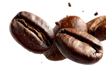 Close-up macro shot of roasted coffee beans in dynamic motion with droplets isolated on transparent background	