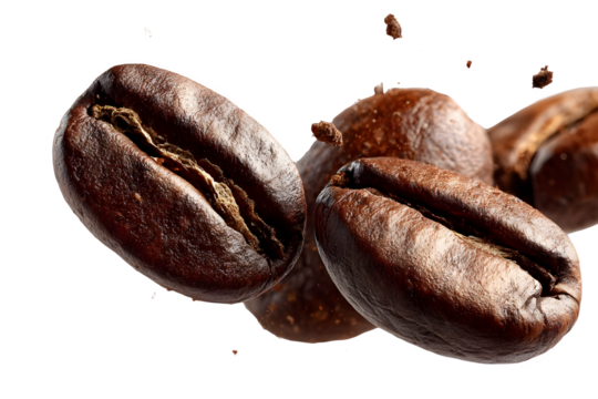 Close-up macro shot of roasted coffee beans in dynamic motion with droplets isolated on transparent background	
