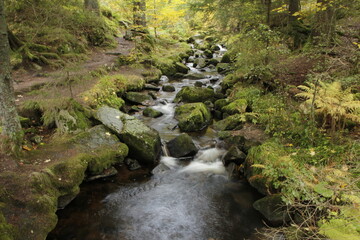 A peaceful mountain stream flowing through a lush green forest, with moss-covered rocks and soft natural light. Perfect for illustrating nature, relaxation, or mindfulness.