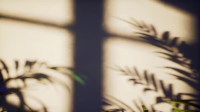 bamboo in the morning