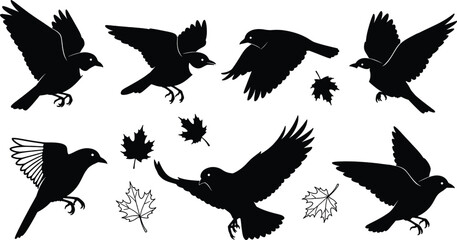 Obraz premium Birds and Autumn Leaves Silhouette
