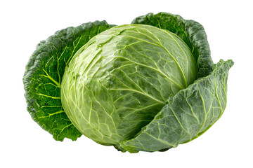 Fresh green cabbage head healthy organic vegetable food photography close-up detail isolated on transparent background