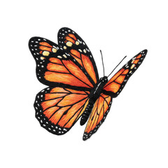 Obraz premium A vibrant, multi-colored 3D stumpwork monarch butterfly with intricate details, isolated on a plain transparent background, no shadows, concept of intricate textile art.