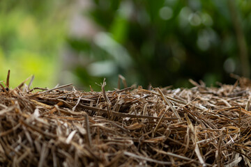 Close-up of dry hay or straw on a blurry natural background. A rustic backdrop of agriculture and rural life.