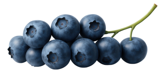 Handmade rosemary soap bar with visible herb fragments on a ceramic dish