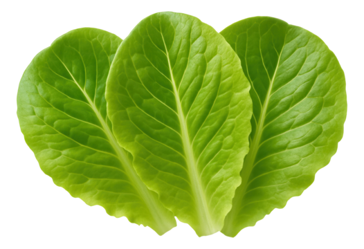 Green onion stalks on a bamboo mat, highlighting their linear alignment and bright color contrast