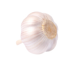 garlic isolated on white background