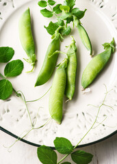 Fresh peas in their pods, with stems and leaves, displayed on a white ceramic plate. Rustic composition that emphasizes healthy eating, organic food, and natural textures. 