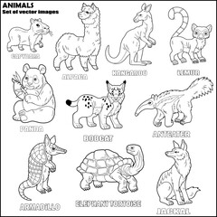 cute wild animals, set of images, coloring for kids