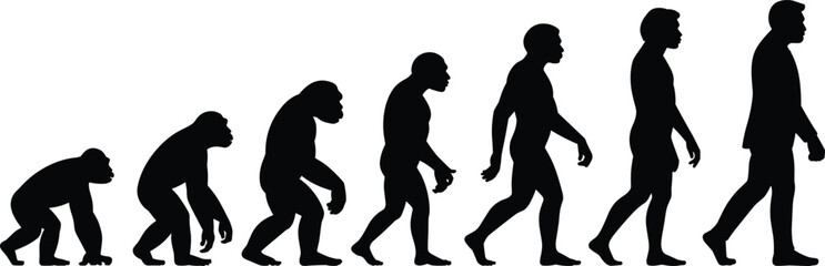 Human Evolution Silhouette from Ape to Modern Man, Evolutionary Development, Anthropology, Scientific Illustration, Biological History, Walking Progression Graphic