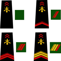 Ensemble des galons de l'armée de terre française: Militaire du rang: soldat, caporal, caporal-chef	