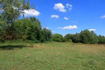 A beautiful woodland landscape under a blue summer sky