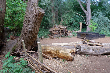 A view of the Mini Beast Hotel in the woodlands at Leybourne lakes