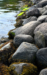 Detailed close-up of natural coastal rocks covered with seaweed and algae along the shoreline. The image captures textures of wet stones, marine vegetation, and the contrast between water and rock.