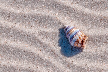 A detailed close-up of a colorful seashell resting on soft sandy beach showcasing intricate patterns and textures highlighting the beauty of nature captured in serene surroundings