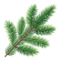 Realistic Christmas tree branch with green needles on transparent background for holiday cards, festive posters, seasonal branding and decorative projects