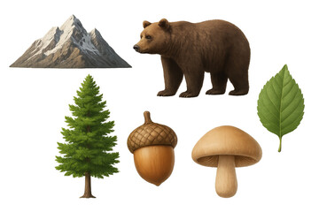 Set of forest elements including a brown bear, evergreen tree, mountain, acorn, mushrooms and foliage isolated on transparent background PNG for wildlife and nature themes