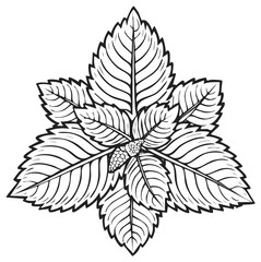 Fototapeta premium Monochromatic illustration of stylized mint leaves forming a star-like pattern