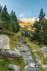 Aigualluts planes in the Benasque valley in Pyrenees, Spain