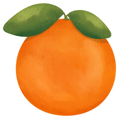 Orange With Leaves Illustration