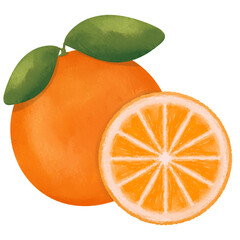 Orange With Leaves And Sliced Orange Illustration
