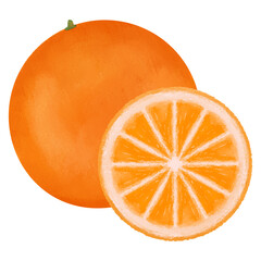 Whole And Sliced Orange Illustration