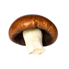 Photo of brown mushroom isolated on transparent background
