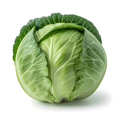 Fototapeta premium A cabbage closeup