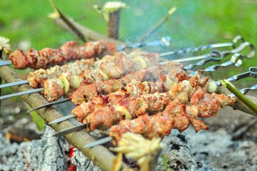 Grilled skewers of meat sizzling over hot coals for a delicious outdoor barbecue.