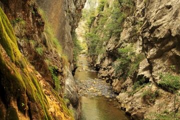The Heart of the Cares Gorge