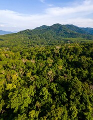 Obraz premium Lush green mountain valley