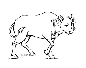 Vector drawing. Old wooden yoke on the cow