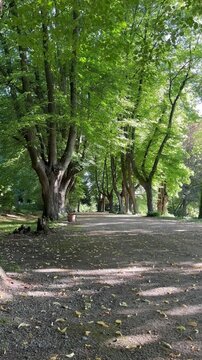 menschenleerer Weg durch ein Naherholungsgebiet im Ruhrgebiet
