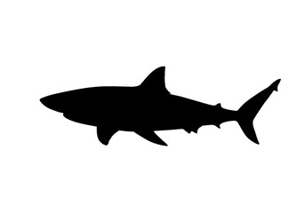 Abstract Constellation Binary Star System in Deep Space on transparent background