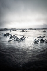 Crystal-clear chunks of ice lying on Diamond Beach black sand of Iceland&rsquo;s coast near J&ouml;kuls&aacute;rl&oacute;n, creating a striking contrast in color and texture