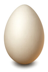 Realistic White Egg on Transparent Background &ndash; High Resolution PNG Illustration