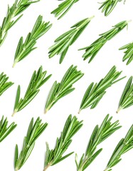 Obraz premium Fresh rosemary sprigs arranged in a pattern