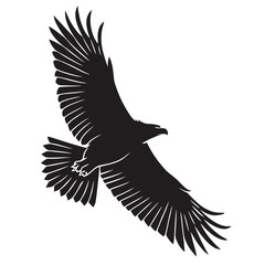 Eagle in storm clouds silhouette