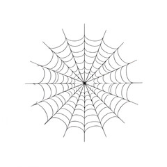 "Spider web illustration isolated on white background."